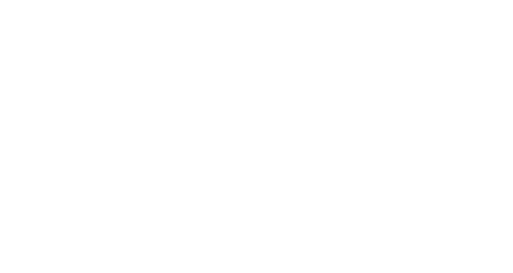 The Great Acceleration 