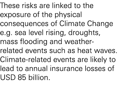 These risks are linked to the exposure of the physical consequences of Climate Change e.g. sea level rising, droughts...